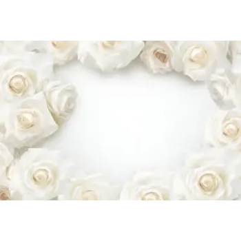 Fablous White Rose 